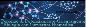 Terzo test online Percorso Nazionale “Biologia con curvatura biomedica” a. s. 2023-2024 III annualità
